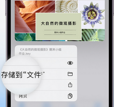 青松乡apple维修中心分享iPhone文件应用中存储和找到下载文件