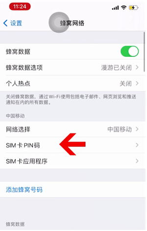 青松乡苹果14维修网分享如何给iPhone14的SIM卡设置密码 