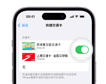 青松乡apple维修点分享iPhone上更换Apple Pay快捷交通卡手绘卡面 