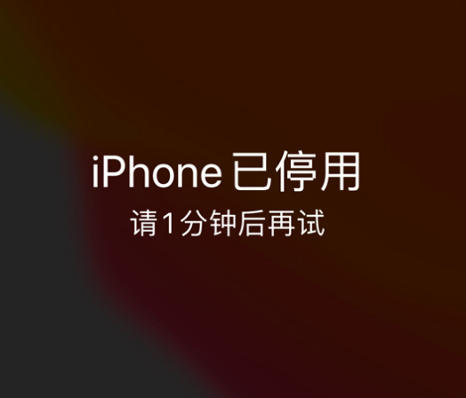 青松乡苹果手机维修分享:iPhone 显示“不可用”或“已停用”怎么办？还能保留数据吗？ 