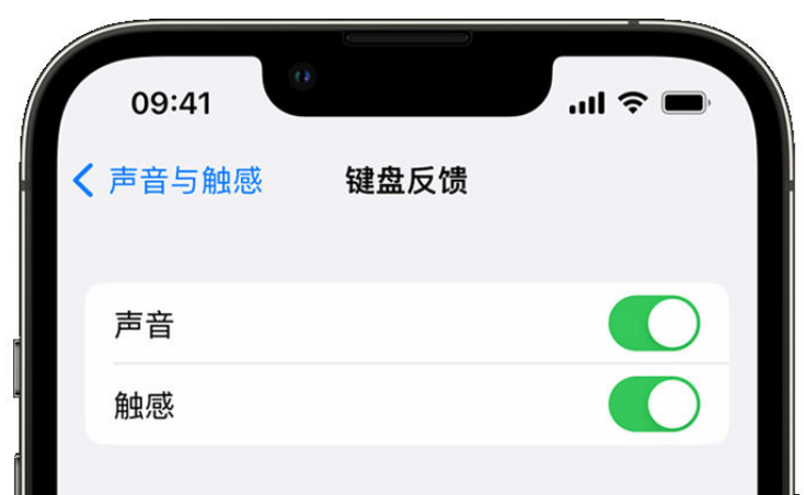 青松乡苹果手机维修分享iPhone 14触感键盘使用方法 