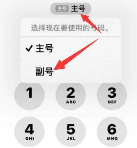 青松乡苹果14维修店分享iPhone 14 Pro Max使用副卡打电话的方法 