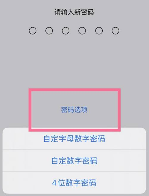 青松乡苹果14维修分享iPhone 14plus设置密码的方法 