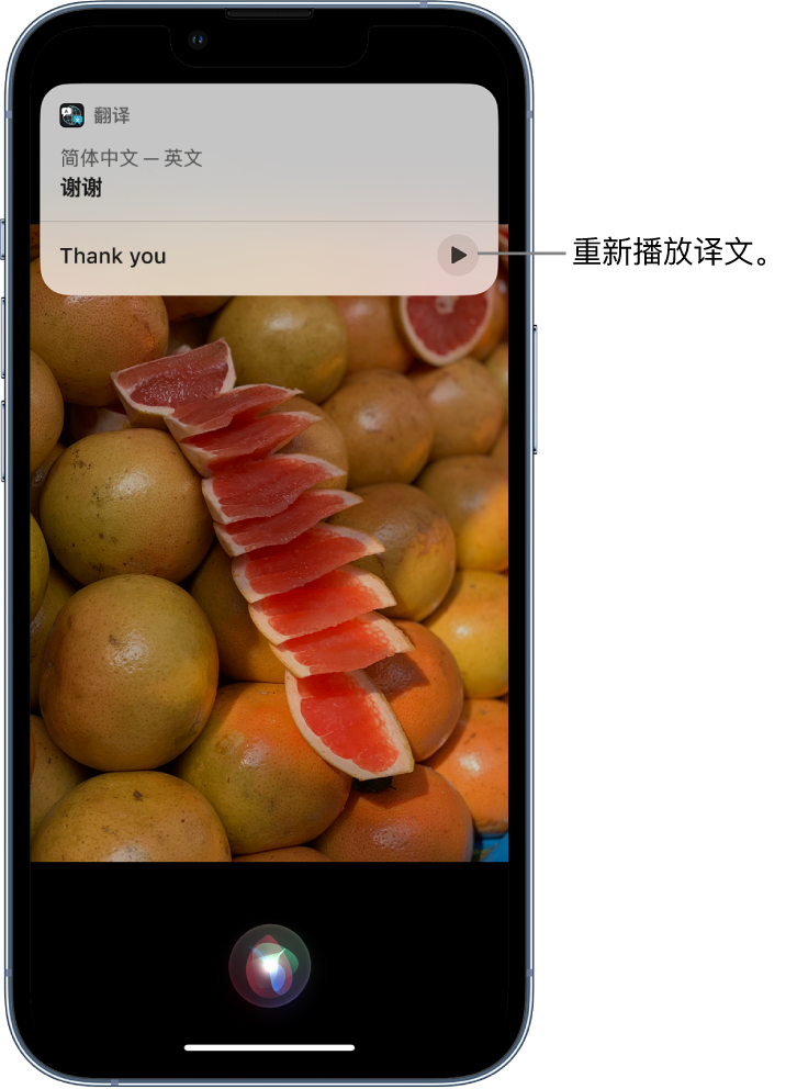 青松乡苹果14维修分享 iPhone 14 机型中使用 Siri：了解 Siri 能帮你做什么 