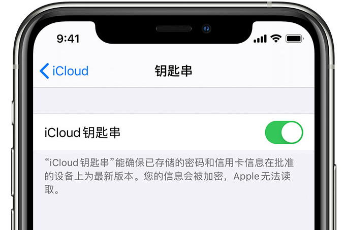 青松乡苹果手机维修分享在 iPhone 上开启 iCloud 钥匙串之后会储存哪些信息 