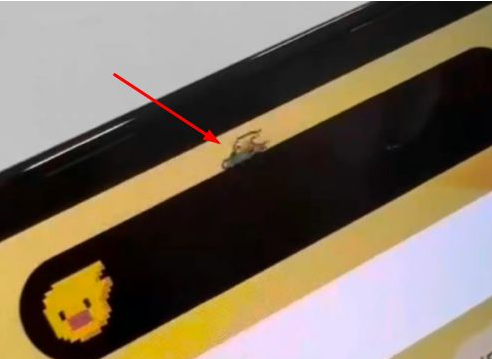 青松乡苹果14维修分享iPhone 14 Pro Max灵动岛怎么养宠物 