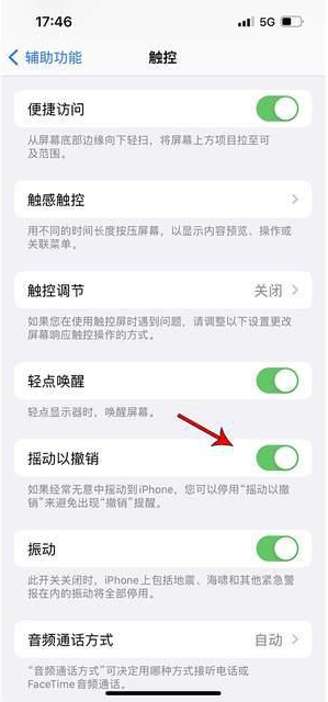 青松乡苹果手机维修分享iPhone手机如何设置摇一摇删除文字 